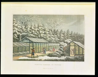 Forçando o jardim no inverno, dos fragmentos na teoria e na prática da jardinagem de paisagem &39;, bar. 1816